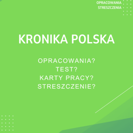 Kronika polska Sprawdziany, Opracowanie, Notatki
