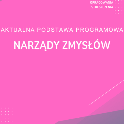 Narządy zmysłów Sprawdzian Kartkówka