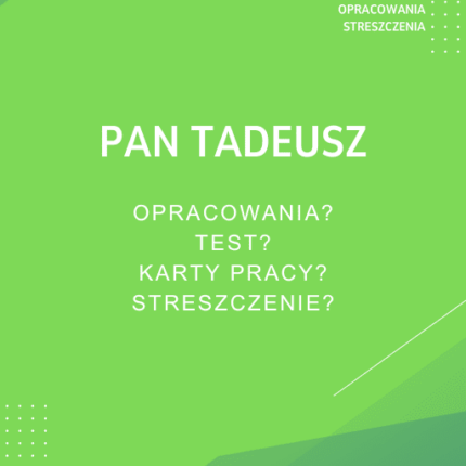 Pan Tadeusz Sprawdziany, Opracowanie, Notatki