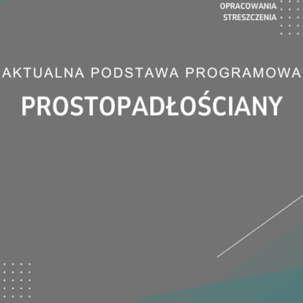 Prostopadłościany Sprawdzian Kartkówka