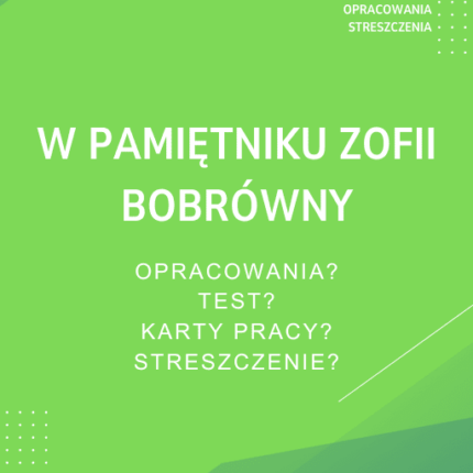 W pamiętniku Zofii Bobrówny Sprawdziany, Opracowanie, Notatki